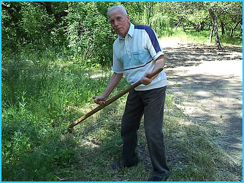 суботник