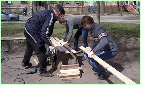«Дивовижні»