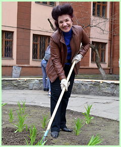 «Дивовижні»
