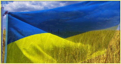 нагородження