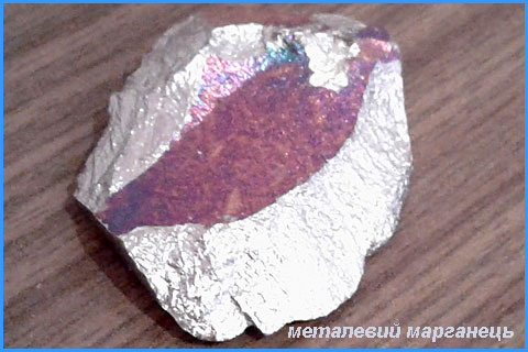 завод